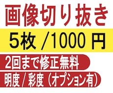 白抜きや画像切抜き（Amazon、楽天等）承ります 商品登録用の画像加工等・切り抜き・白抜きいたします