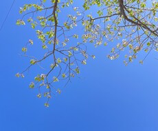 愚痴でも恋愛話でもなんでも聞きます イメージ1