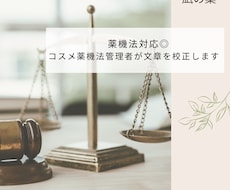 コスメライターが美容文章の表現添削をします イメージ1