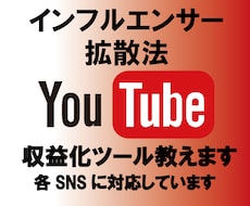 YouTube収益化ツール教えます 誰でも簡単作業で各SNSでも拡散可能