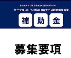 兵庫県限定補助金! 事業計画・申請書ご提供します 12/10〆・個人事業主OK! サイト制作・PC購入OK!