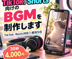 TikTok/Shorts向けのBGMを制作します イメージ1