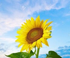 今日から独りで悩まず私がお話何でも聞きます イメージ1