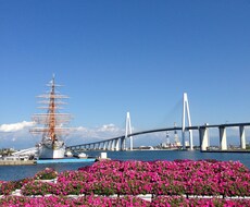 もし、あなたの心が疲れているなら、その疲れを根こそぎなくしてしまいませんか？はなしましょう。 イメージ1