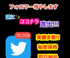 日本人のフォロワー1000人増やします イメージ1