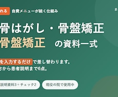 整骨院の自費メニュー立ち上げ資料一式を渡します イメージ1