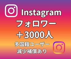Instagram フォロワー3000人増やします ゆっくり増加対応可・高品質・多国籍フォロワー・減少保証あり