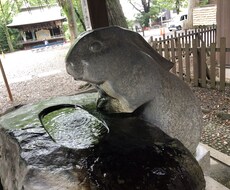 お仕事、キャリアのお悩み相談お聞きします イメージ1