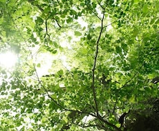 恋人の悩み＊ 秘密厳守でなんでも聞きます イメージ1