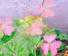 愚痴、悩み、雑談なんでもお聞きします イメージ1