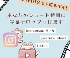 ショート動画計10分の字幕・テロップを作成します イメージ1