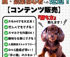 ご購入者様だけに、こっそり50%オフでご提供します SNSを活用した集客、販売スケジュールの組み方まで完全網羅！