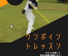 スイング動画でどこをどのように直せばいいか教えます イメージ1