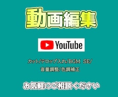 SNS向け動画編集承ります イメージ1