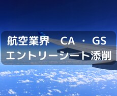 航空業界（CA）（GS）内定！ES添削します このチャンスを逃さない！国内大手エアライン内定実績あり