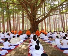 タイ・チェンマイのお寺で瞑想体験ができます ２−３日の初心者向け体験コースから修道所での本格的瞑想まで