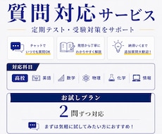 高校生・高卒生の質問にチャットでお答えします 【お試しプラン】高校生・高卒生の質問対応
