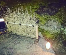 ダイエットについて相談乗ります イメージ1