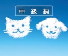 人間関係の悩み一瞬で解決します タイプ診断に自分と相手理解と摩擦が起こる原因をお伝えします。