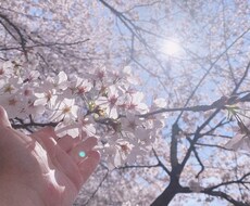 低価格で鑑定します イメージ1