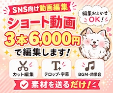 先着5名 ショート動画3本編6000円で編集します イメージ1