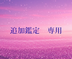追加鑑定専用でございます