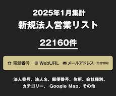 営業リスト 25年1月 新規法人リストを即納します セール中！総数22160件 電話3312件 メール623件