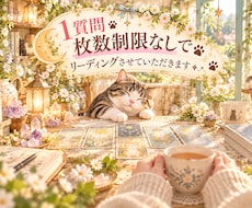 １質問、枚数制限なしで見させていただきます きっかけとなるカードからのメッセージ、みてみませんか？.*