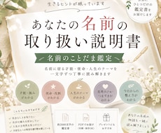 あなたの名前の取り扱い説明書をお作りします イメージ1