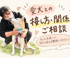 愛犬との接し方・関係作りのご相談にのります もっとその子を知りたい！方に全力でサポートいたします！