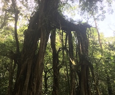 不安、複雑なお悩みにも対応いたします 駆け込み寺な存在になれたら、と思います