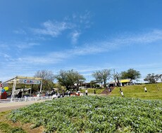 恋愛相談・雑談・暇つぶし・家族関係何でも聞きます イメージ1