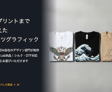Tシャツ用のプリントグラフィックを制作します イメージ1