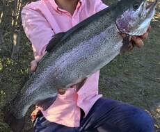 管理釣り場向け初心者向けのアドバイス致します イメージ1