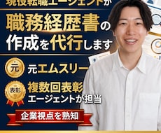 現役転職エージェントが職務経歴書の作成を代行します イメージ1
