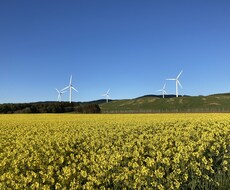 今日からここがあなたの居場所になります イメージ1