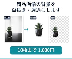 商品画像の背景を白抜き・透過にします イメージ1