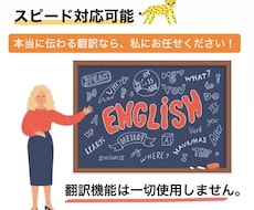 ネイティブに伝わる！日英翻訳・校正なんでも受付ます 本当に伝わる英語/日本語へ翻訳します。まずはご相談ください！