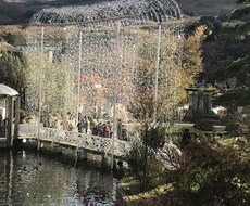 居酒屋ママ16年、あなたのお悩みを伺います イメージ1