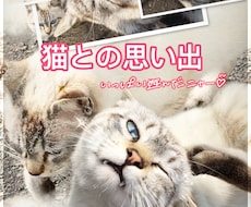 写真加工します イメージ1