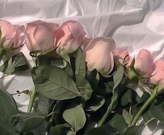 現役心理学生にLINE感覚でご相談いただけます イメージ1