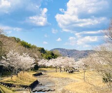 悩み相談、恋愛相談、愚痴、なんでも聞きます イメージ1