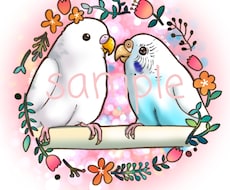 インコ大好きさん集まれ!特価でインコの絵描きます オカメインコ、セキセイインコ、文鳥…鳥なら何でも!