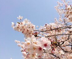 あなたの気持ちにとことん寄り添います イメージ1