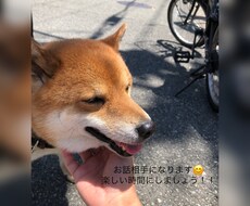 お話相手承ります イメージ1