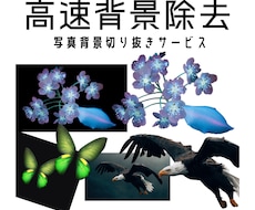 写真背景除去高速で受け賜わります 高速背景除去サービス5点3000円翌日完成