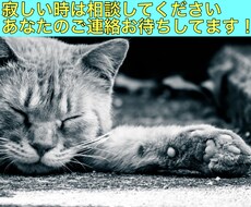 人に話せないことでも話し相手になります イメージ1