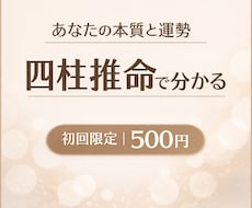 初回限定 あなたの人生データで読み解きます