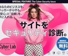 WEBサイトのセキュリティ、本格検査します ウェブアプリケーションの脆弱性を検出しレポート納品します
