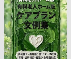 有料老人ホーム版 ケアプラ 文例集販売します イメージ1